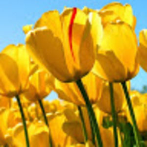 Meet your Posher, Alecia